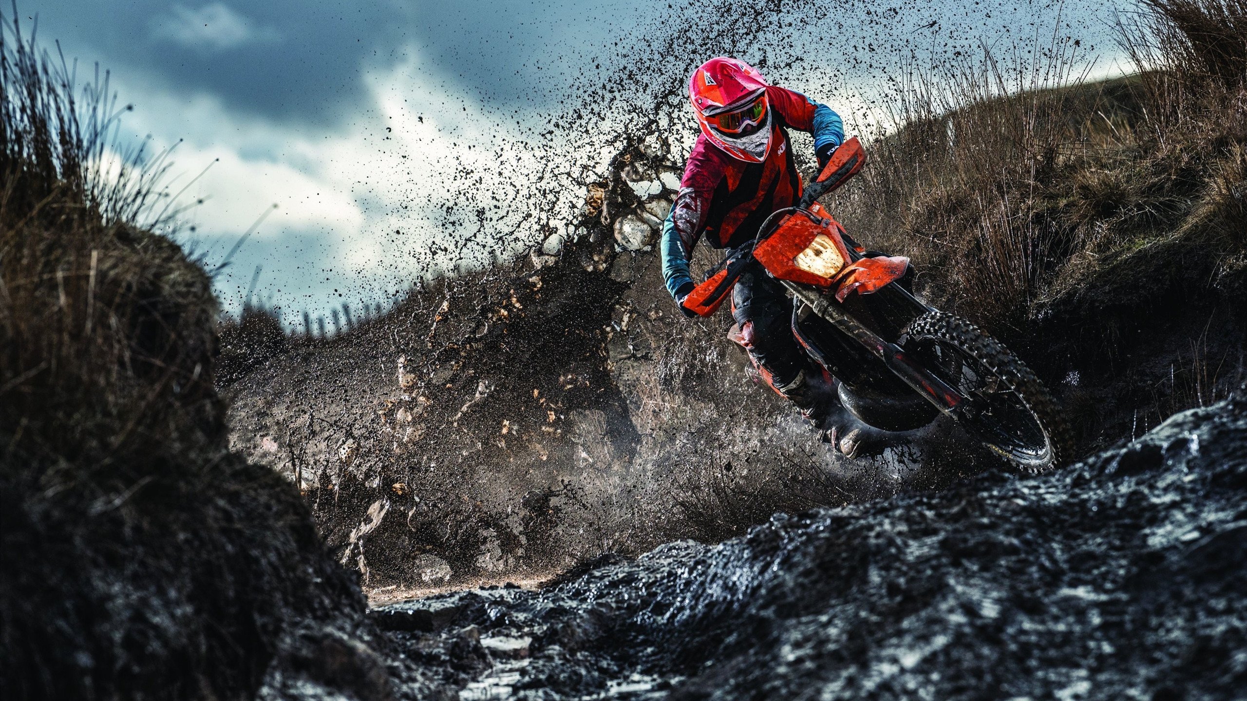 王座之巅，孤影下的双城记与未决的桂冠，王座之巅，孤影下的双城记与未决的桂冠